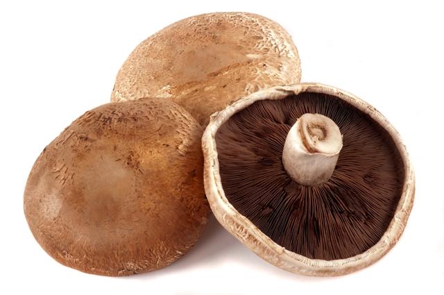 Portabello 1,5kg