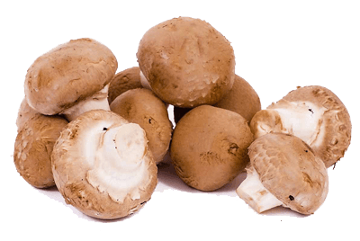 Kastanjechampignons 3kg