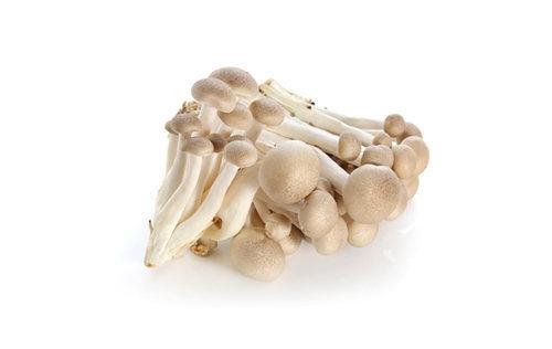 Beukenzwam bruin 1,5kg