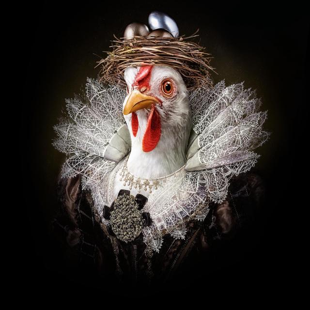 MARIGOLD QUEEN OF EGGS (DOOS GROOT) DOOS 90ST.