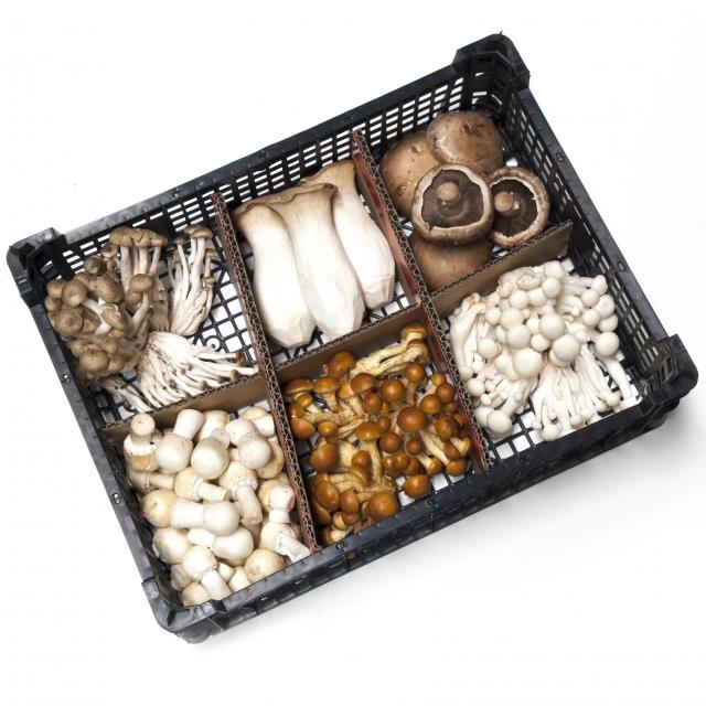 Paddestoelen seizoensmix 1kg